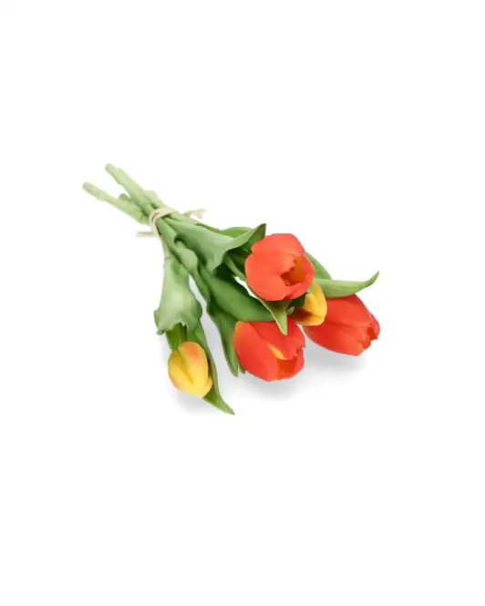 Hovedbilde A Lot TULIPAN Orange