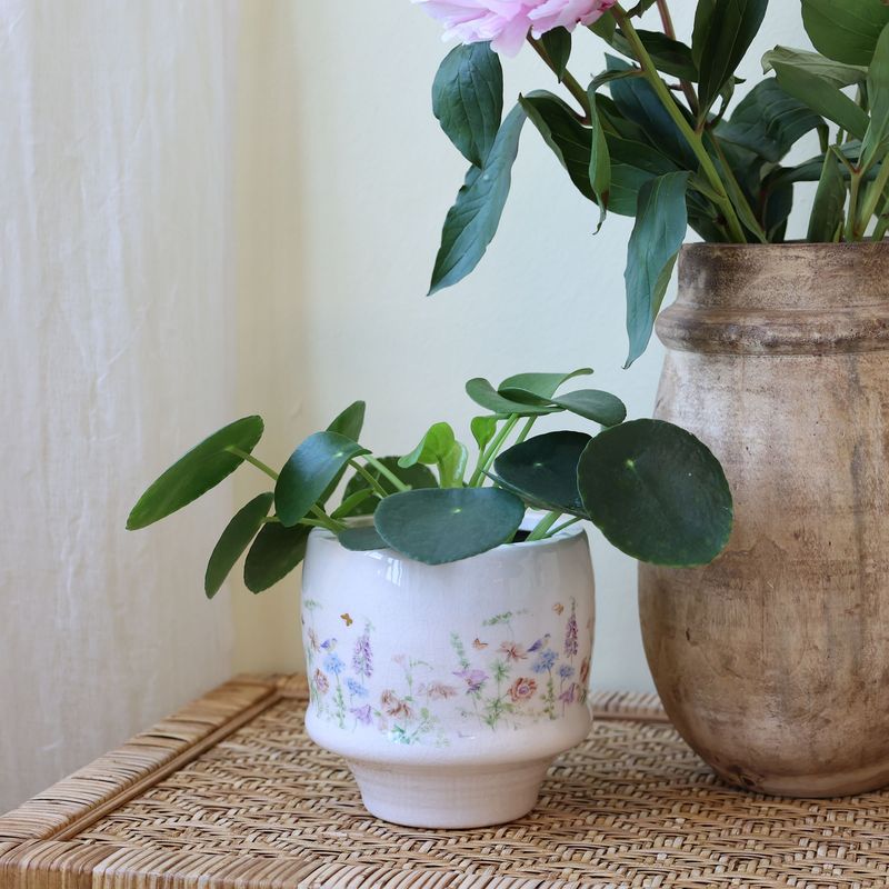 Chic Antique PAPILLON BLOMSTERPOTTE Cream H12,5cm