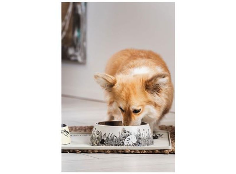 Mummi PETS SILIKONMATTE Grå 60x40 cm