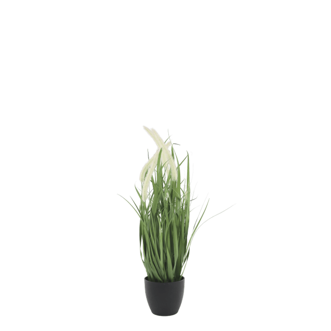 Hovedbilde Chic Antique SIVPLANTE H68cm