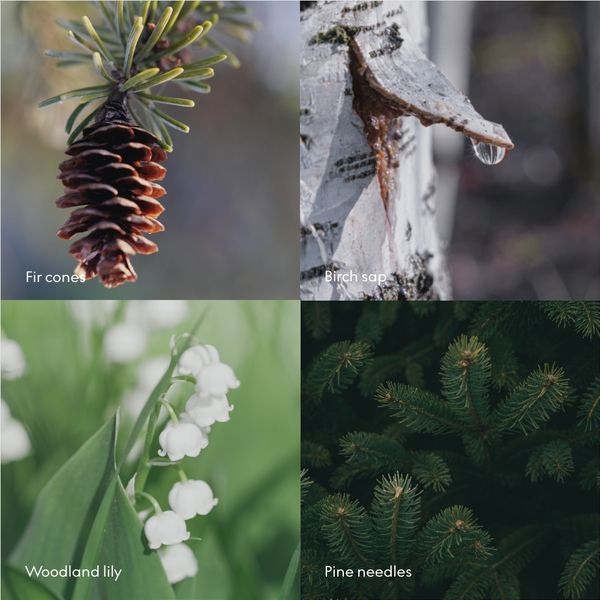 Hovedbilde Skandinavisk WASH Skog 500ml