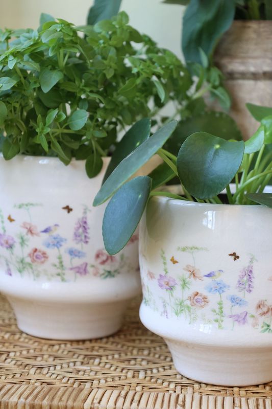 Chic Antique PAPILLON BLOMSTERPOTTE Cream H12,5cm