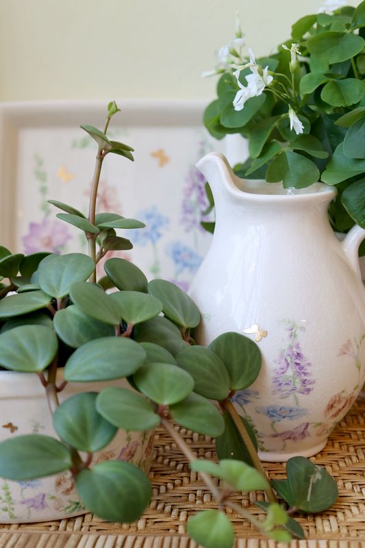 Chic Antique PAPILLON KANNE m/blomster H19/Ø12cm Cream